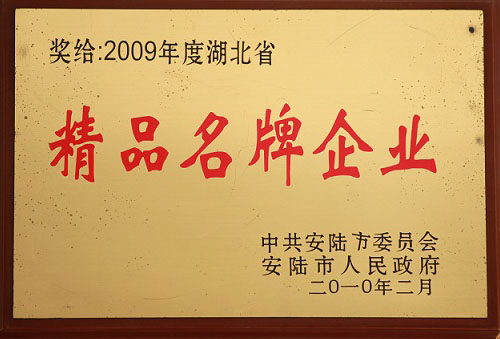 精品名牌企業2009